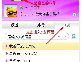 YY的Y友功能介绍